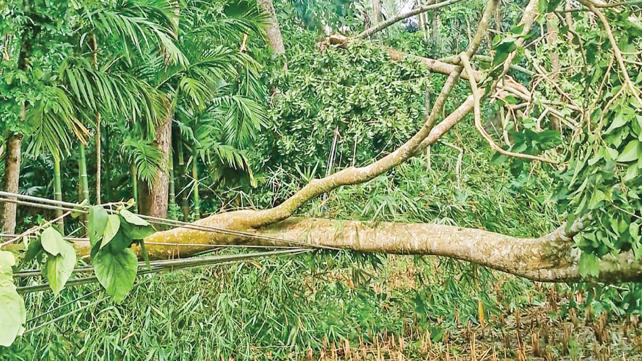 মাদারগঞ্জে কালবৈশাখীর তাণ্ডবে অন্ধকারে ৬০ গ্রামের মানুষ