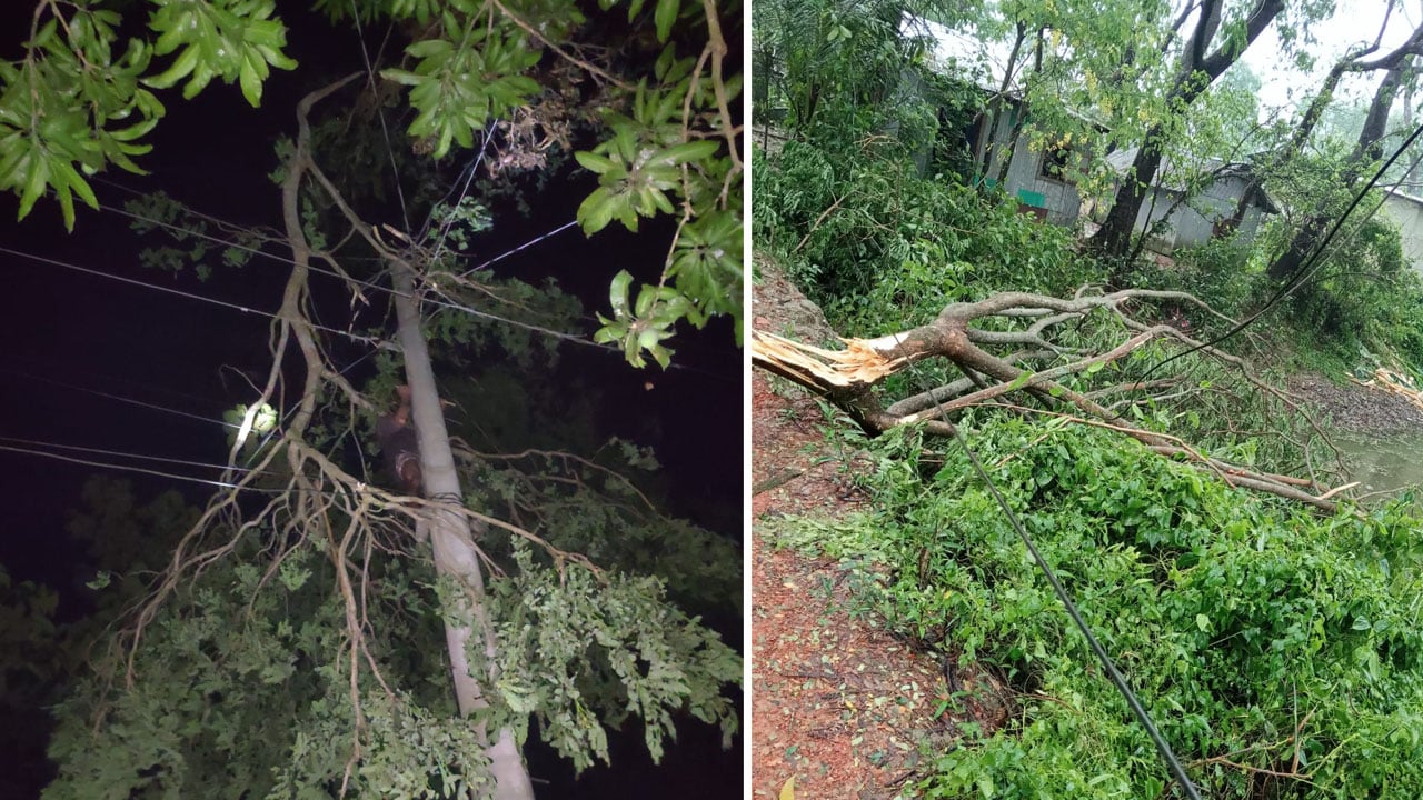 মিরসরাইয়ে কালবৈশাখী ঝড়ে বিদ্যুৎহীন ২০ হাজার গ্রাহক