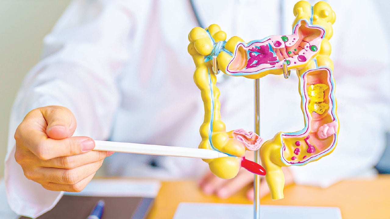 মুখ থেকে পায়ুপথে ক্যানসার