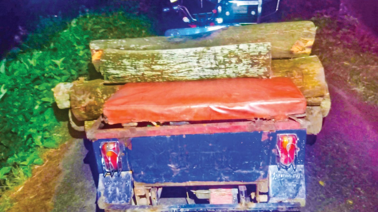 কালাছড়া বনবিটে বৃক্ষ নিধন, হুমকিতে পরিবেশ