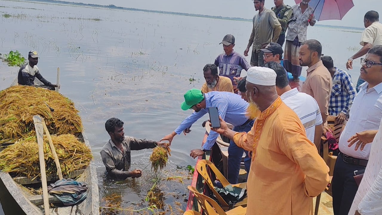 হাওরে ক্ষতিগ্রস্ত কৃষকদের পাশে জেলা প্রশাসক