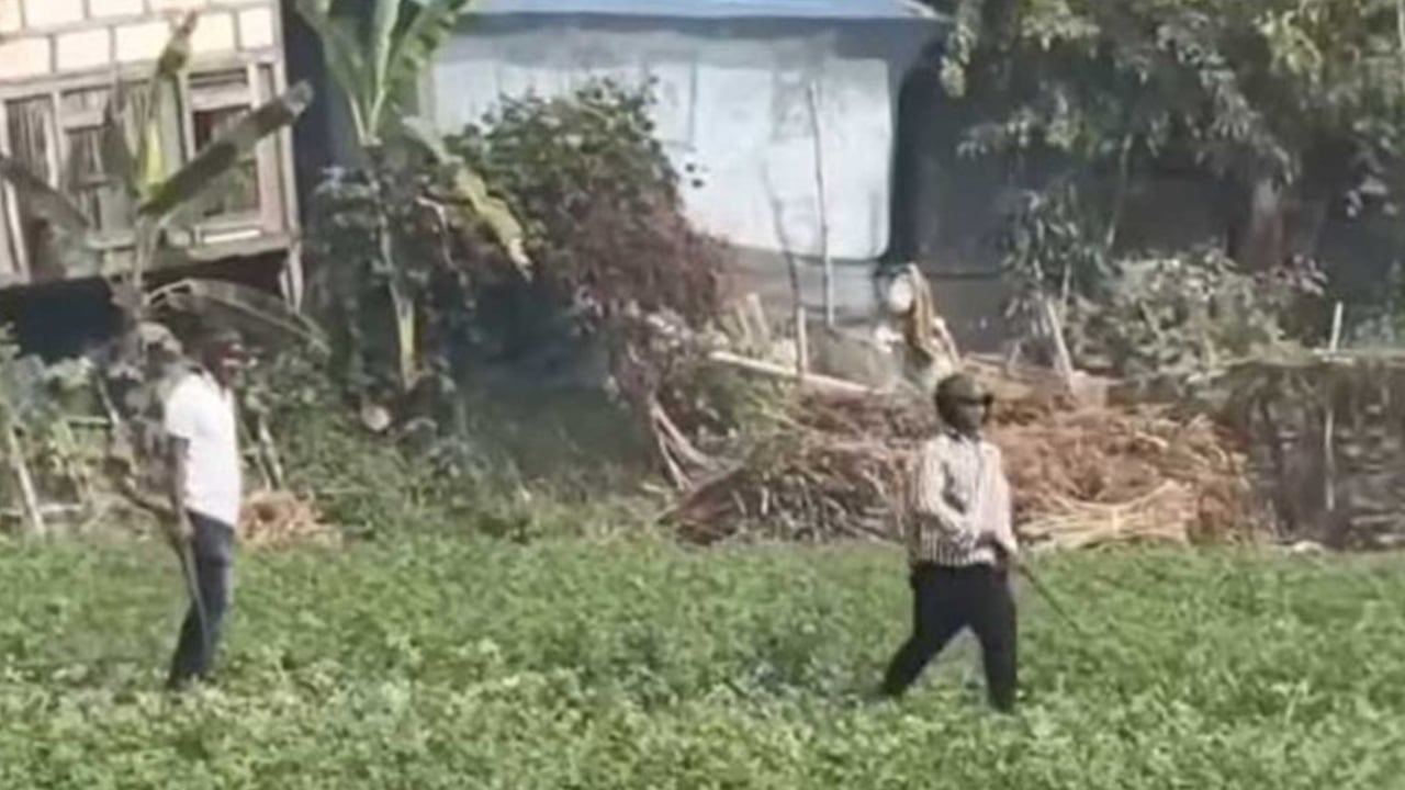 স্বতন্ত্র ও ধানের শীষের প্রার্থীর সমর্থকদের পাল্টাপাল্টি হামলা, আহত ১০