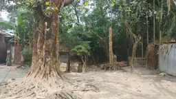গঙ্গাচড়ায় ভুয়া পূজামণ্ডপ দেখিয়ে জিআর চাল উত্তোলন