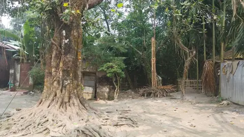গঙ্গাচড়ায় ভুয়া পূজামণ্ডপ দেখিয়ে জিআর চাল উত্তোলন 