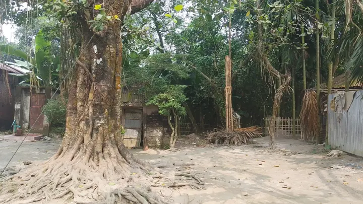গঙ্গাচড়ায় ভুয়া পূজামণ্ডপ দেখিয়ে জিআর চাল উত্তোলন 