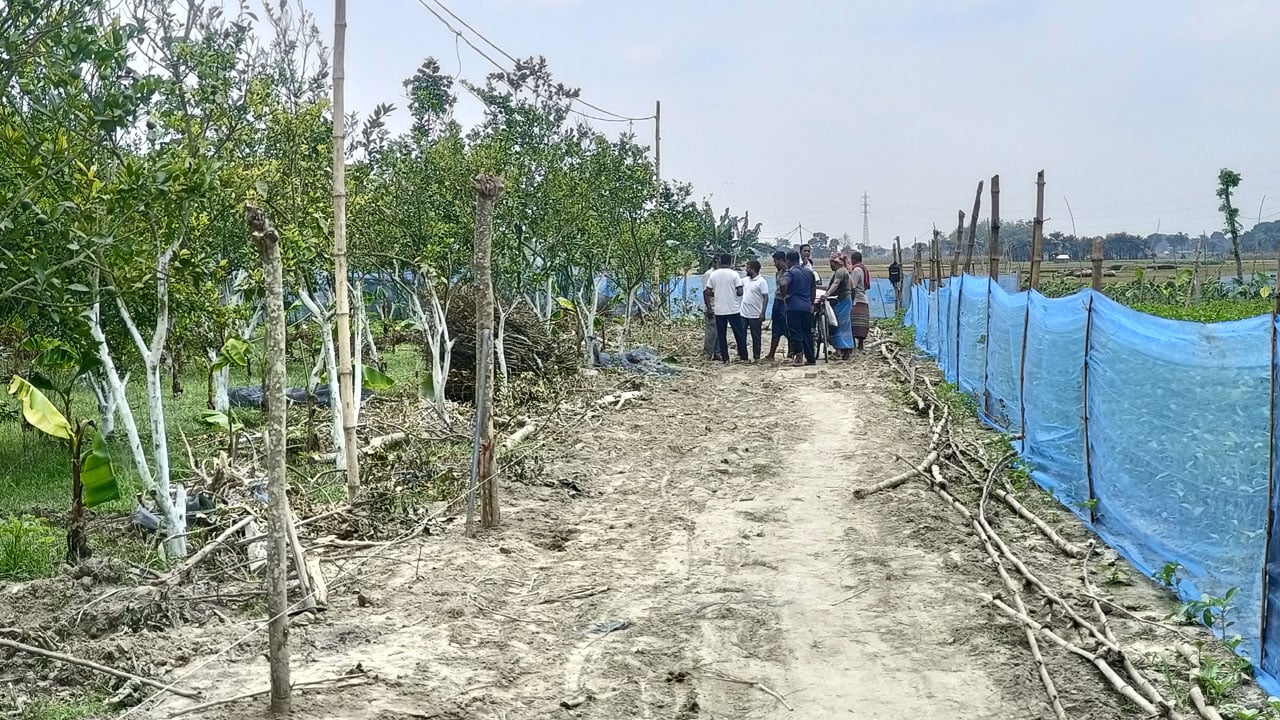 রাতের আঁধারে মাল্টাবাগান কেটে রাস্তা নির্মাণের অভিযোগ