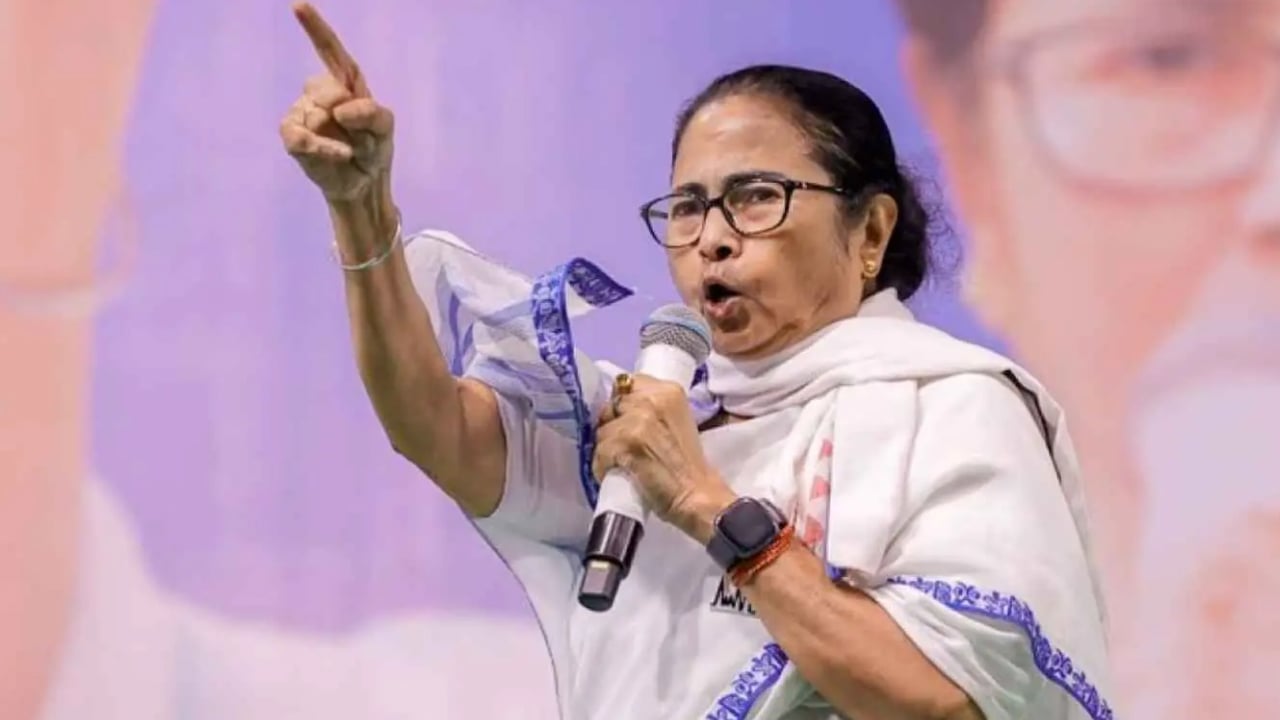 ককরোচ পার্টির আন্দোলনে যোগ দিতে দিল্লি যাচ্ছেন মমতা