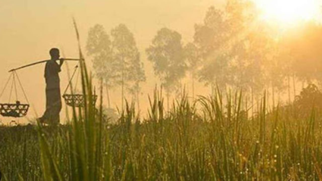 মৌসুমী বায়ুর বিদায় উত্তরাঞ্চলে ঘন কুয়াশা, শৈত্যপ্রবাহের পূর্বাভাস