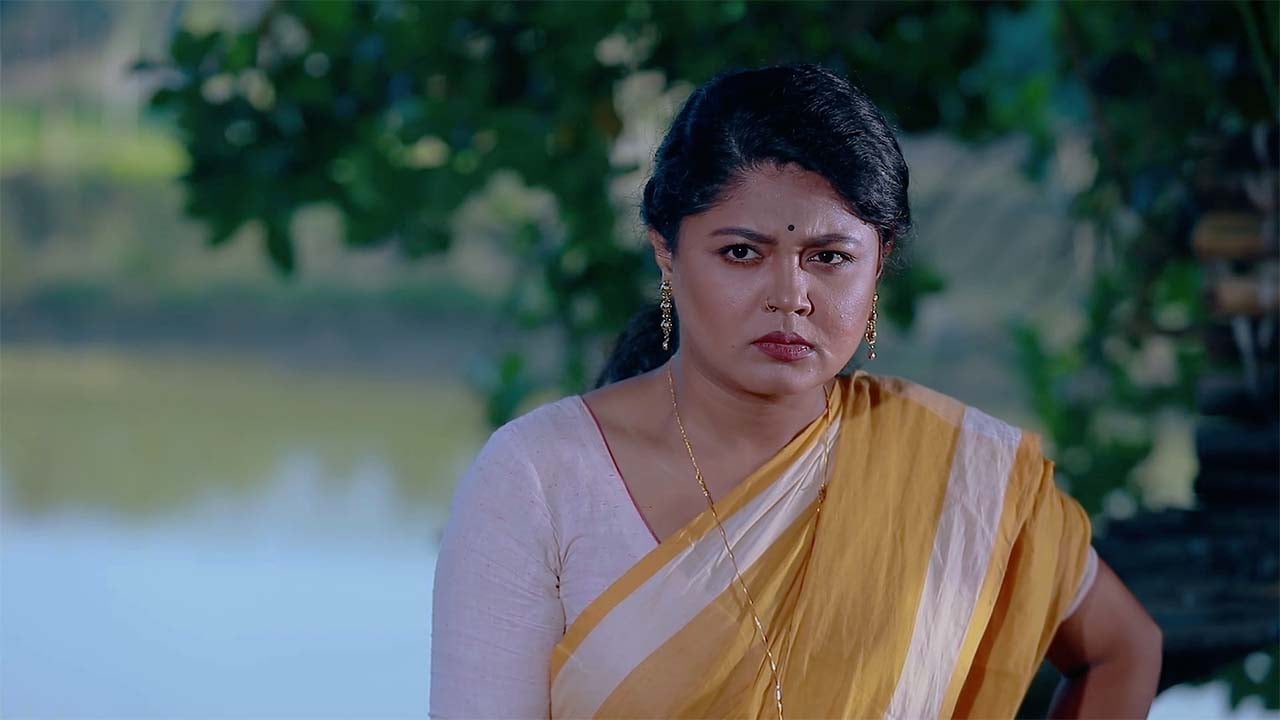 নতুন ধারাবাহিক দিয়ে মৌসুমী হামিদের নতুন বছর শুরু