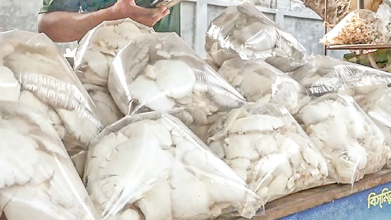 মাশরুমের পাইকারি বাজার গড়ে উঠেছে সাভারে