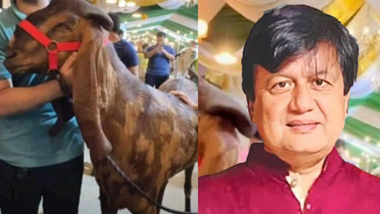 ছাগলকাণ্ডের মতিউরের বিরুদ্ধে অভিযোগ গঠন ১১ মে