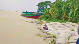 বর্ষায় বেড়েছে নদীভাঙন, ভিটেমাটি হারিয়ে বাস্তুহারা হচ্ছে মানুষ