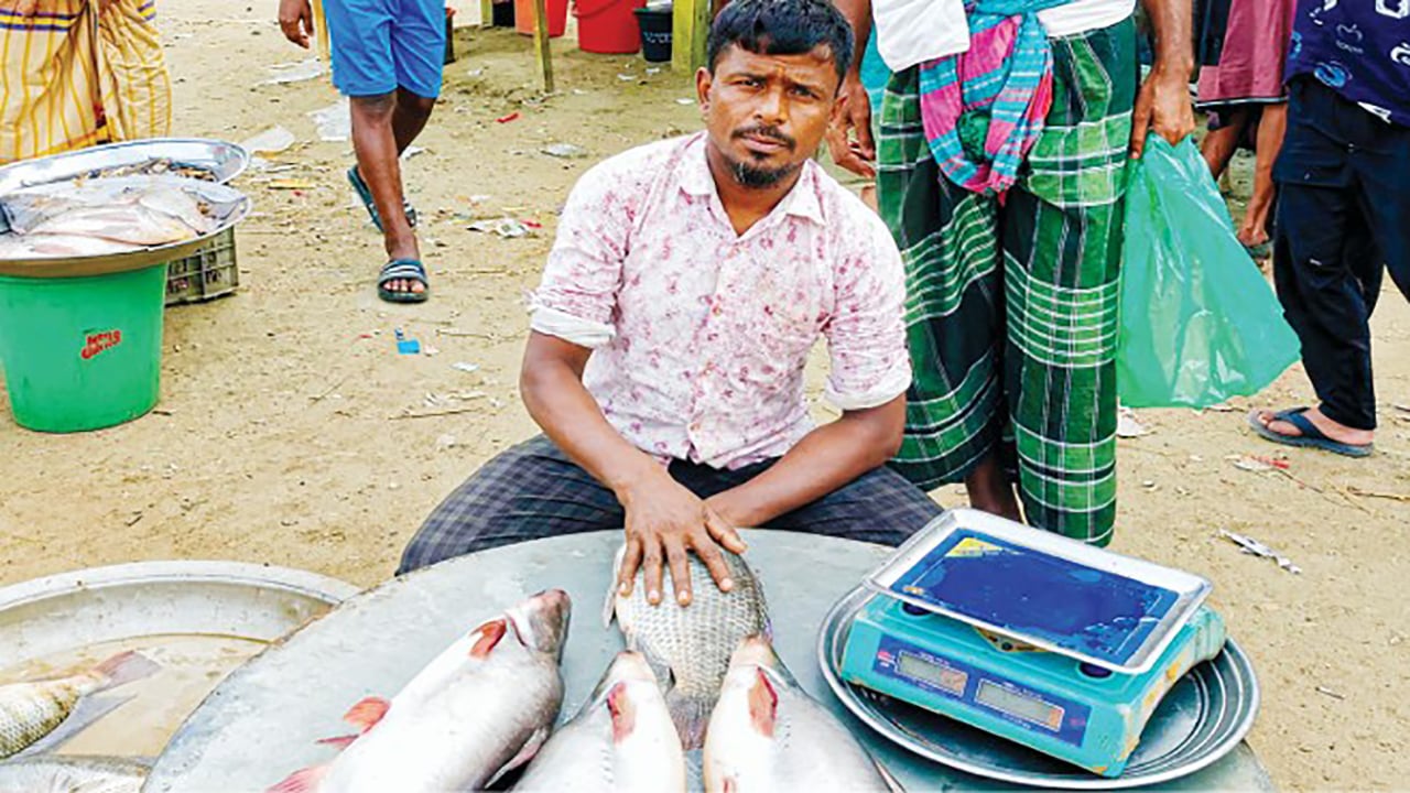 দুই কিডনি বিকল, চার সন্তান নিয়ে মানবেতর জীবন
মাছ বিক্রেতা নাসিরের