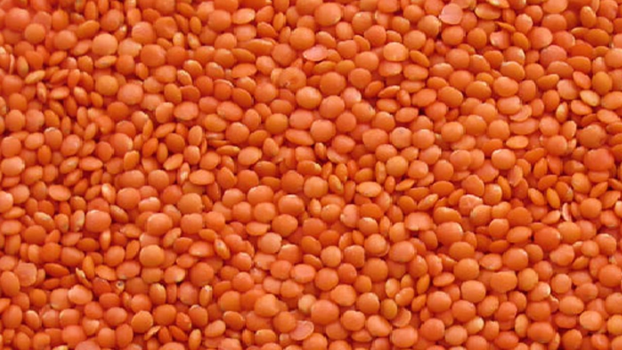 ১০ হাজার টন মসুর ডাল কিনবে সরকার