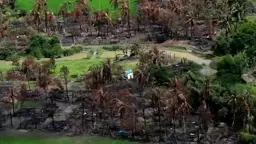 রোহিঙ্গাদের জমিতে বন্দিশিবির ও সামরিক ঘাঁটি গড়ছে আরাকান আর্মি