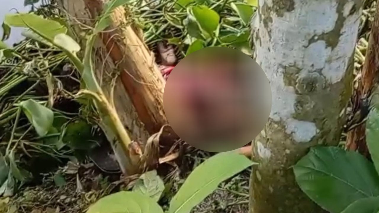 নবীগঞ্জে পাওনা টাকার জেরে বড় ভাইয়ের ছুরিকাঘাতে ছোট বোনের মৃত্যু 