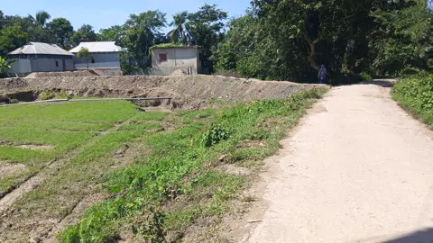 নবীনগরে নিজের জমি উঁচু করতে গিয়ে মিথ্যা অভিযোগে হয়রানি