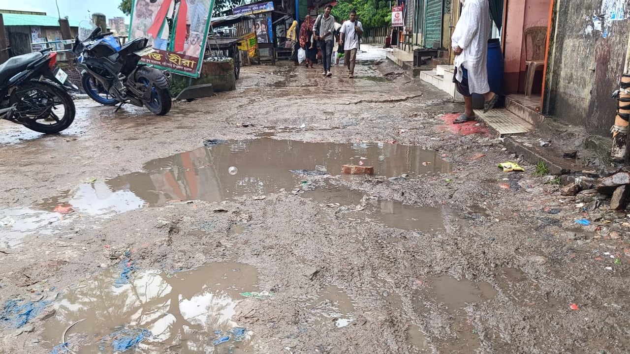 নবীনগর পৌর শহরে প্রবেশের রাস্তার বেহাল দশা