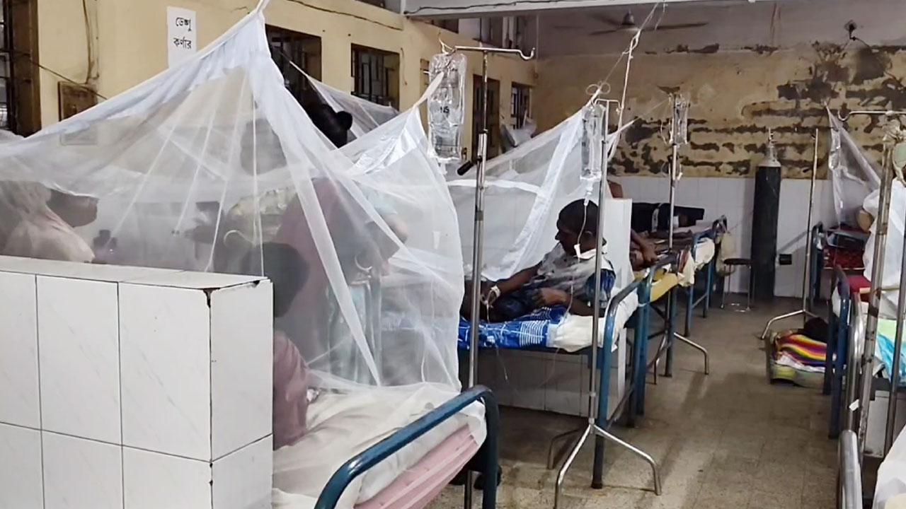 চাঁপাইনবাবগঞ্জে পাল্লা দিয়ে বাড়ছে ডেঙ্গু রোগী