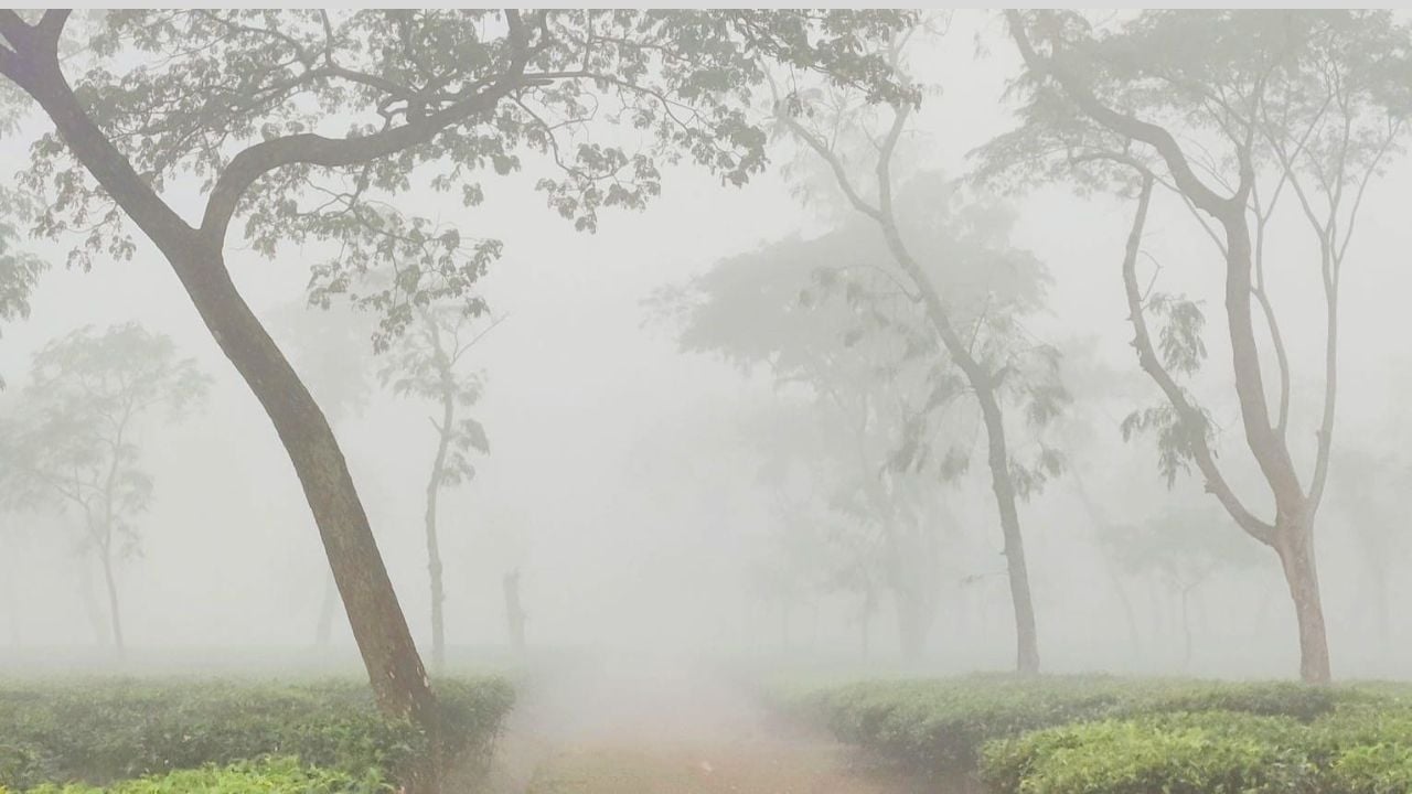 শ্রীমঙ্গলের তাপমাত্রা ১০ ডিগ্রি, ব্যাহত স্বাভাবিক জীবনযাত্রা