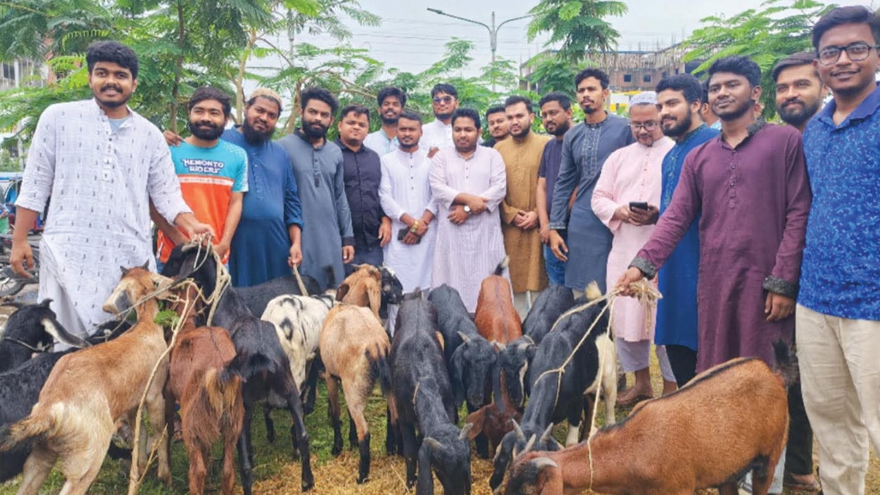 শহীদ পরিবারের মাঝে কোরবানির খাসি বিতরণ এনসিপি এমপির