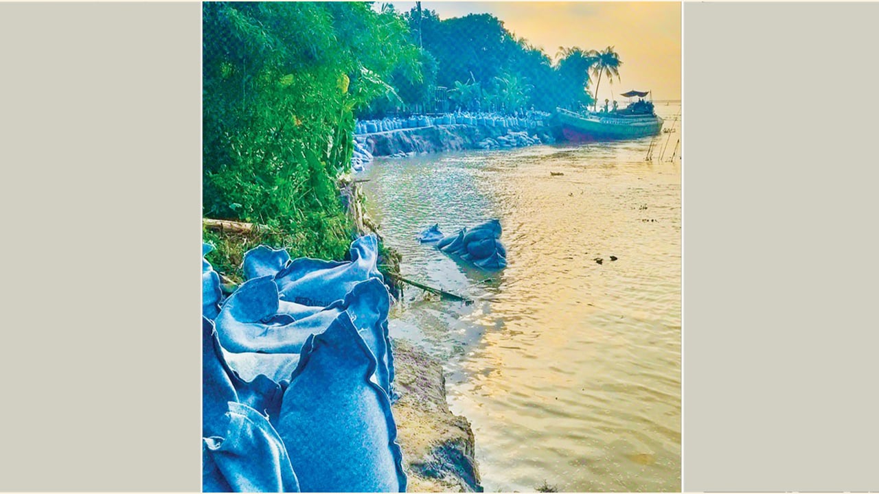 জাজিরায় পদ্মা নদীর ভয়াবহ ভাঙন