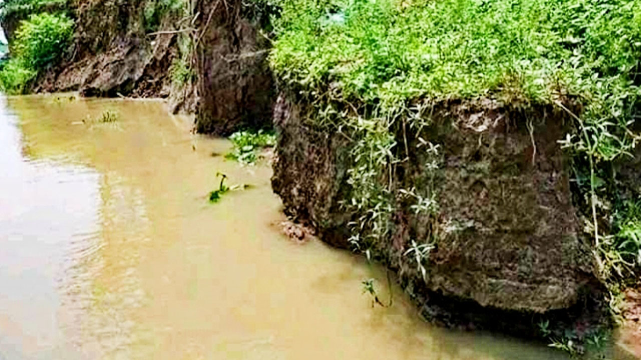 নদী ভাঙনে দিশেহারা চাতলপাড়বাসী