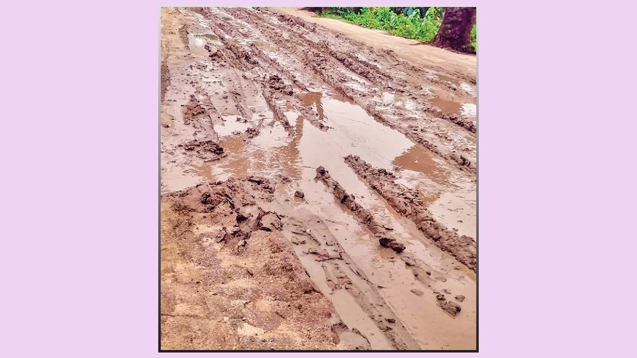 পত্নীতলায় সড়কের বেহাল দশা দ্রুত সংস্কারের দাবি স্থানীয়দের