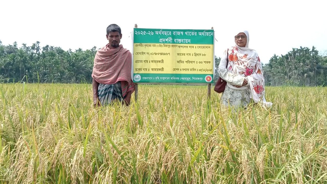 ডিজেল সরবরাহে সেচে স্বস্তি কৃষকের, ধানক্ষেতে ফিরেছে প্রাণ