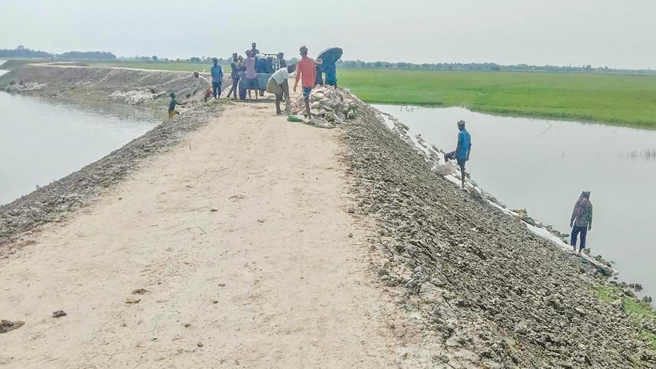 নেত্রকোনার হাওরে ফসলরক্ষা বাঁধে ধস