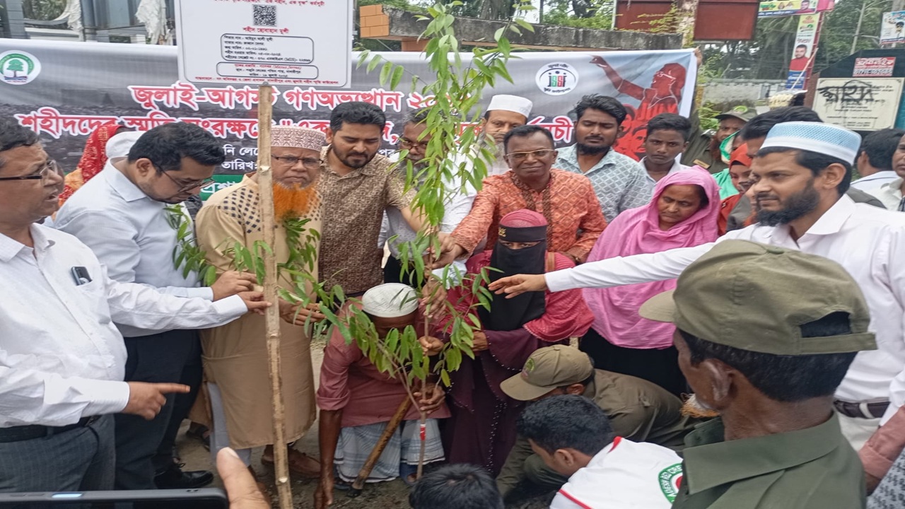 জুলাই শহীদদের স্মরণে মাদারীপুরে বৃক্ষরোপণ