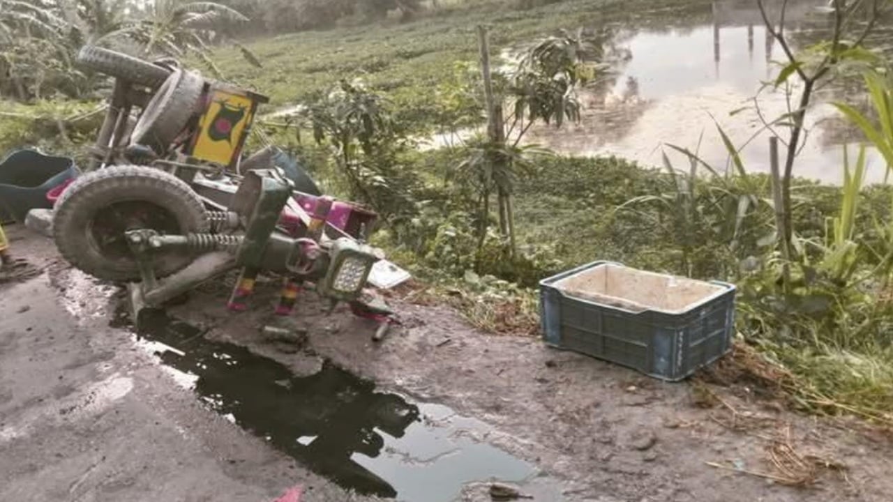 আড়াইহাজারে নছিমন উল্টে মাছ ব্যবসায়ী নিহত