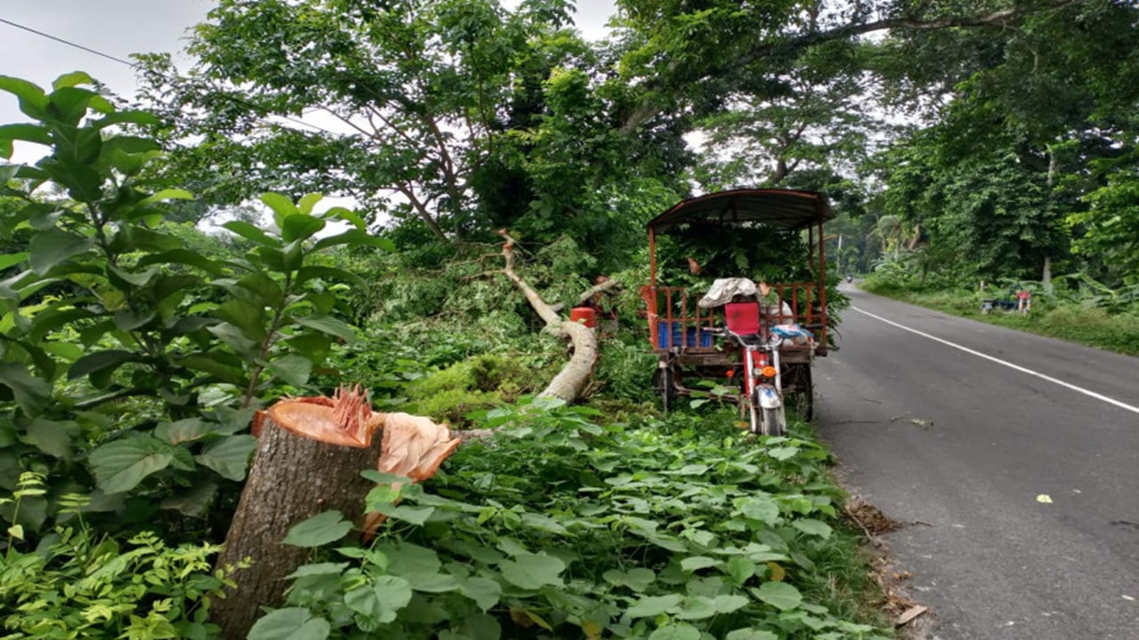 গভীর রাতে মহাসড়কে ডাকাতির চেষ্টা, পুলিশ আসায় রক্ষা