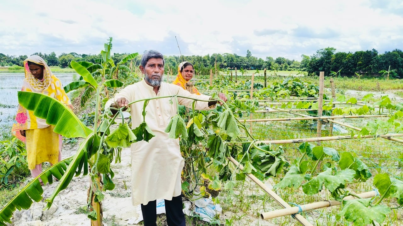 এক রাতেই মোতালেবের স্বপ্ন ভেঙে দিলো দুর্বৃত্তরা