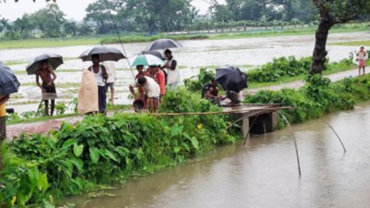 ময়মনসিংহে বৃষ্টিতে তলিয়ে গেছে মাঠ-ঘাট