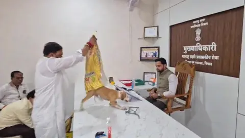 কুকুরের উৎপাতের প্রতিবাদে কর্মকর্তার টেবিলে ছেড়ে দিলেন বেওয়ারিশ কুকুর