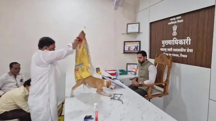 কুকুরের উৎপাতের প্রতিবাদে কর্মকর্তার টেবিলে ছেড়ে দিলেন বেওয়ারিশ কুকুর