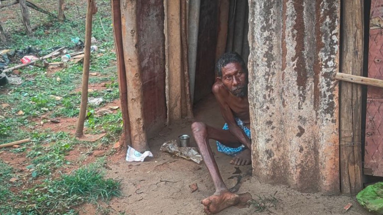 ছবি: সংগৃহীত।