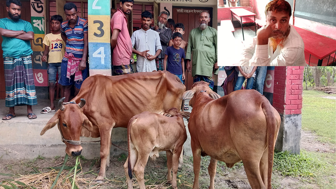 গরু চুরি করে হাতেনাতে ধরা পড়লো চোর