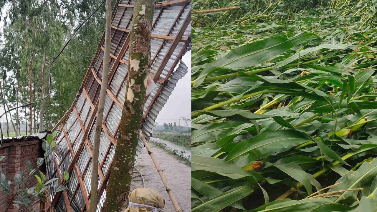কিশোরগঞ্জে ঝড়ে শতাধিক ঘরবাড়ি বিধ্বস্ত, ফসলের ব্যাপক ক্ষতি