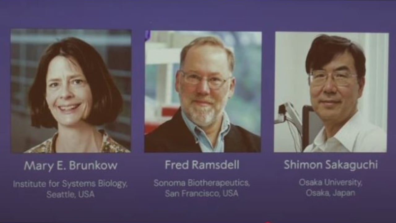 চিকিৎসায় নোবেল পেলেন যুক্তরাষ্ট্র ও জাপানের ৩ গবেষক