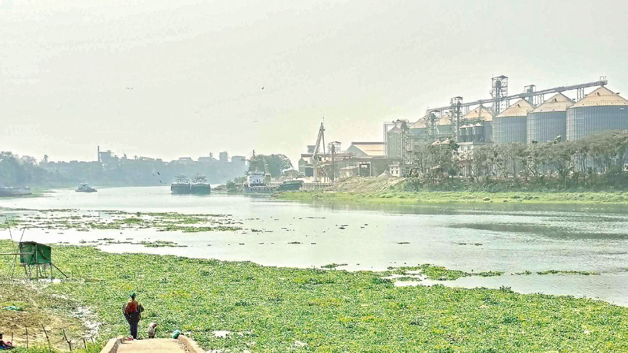 শিল্প-কারখানার বিষাক্ত বর্জ্যে চরম হুমকিতে শীতলক্ষ্যা