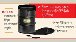বিদ্যুতে ফার্নেস অয়েলে ঝুঁকছে সরকার, বাড়বে আর্থিক চাপ