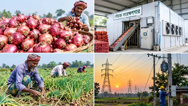পেঁয়াজ সংরক্ষণ মেশিনে জালিয়াতি, বেড়েছে কৃষকের বিদ্যুৎ খরচ