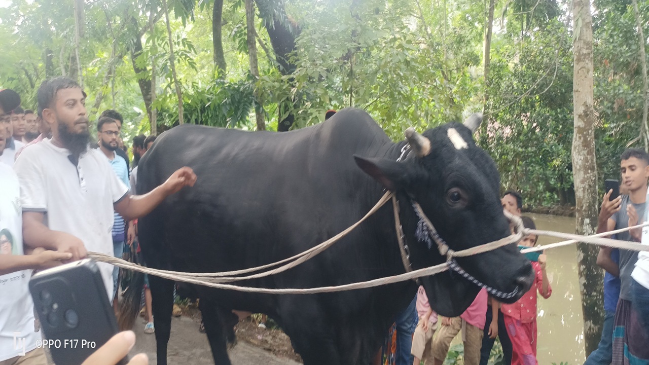 খালেদা জিয়াকে উপহার দিতে কালোমানিকসহ ঢাকার পথে সোহাগ