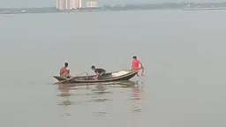 মির্জাগঞ্জে পায়রা নদীতে মা ইলিশ শিকারের মহোৎসব