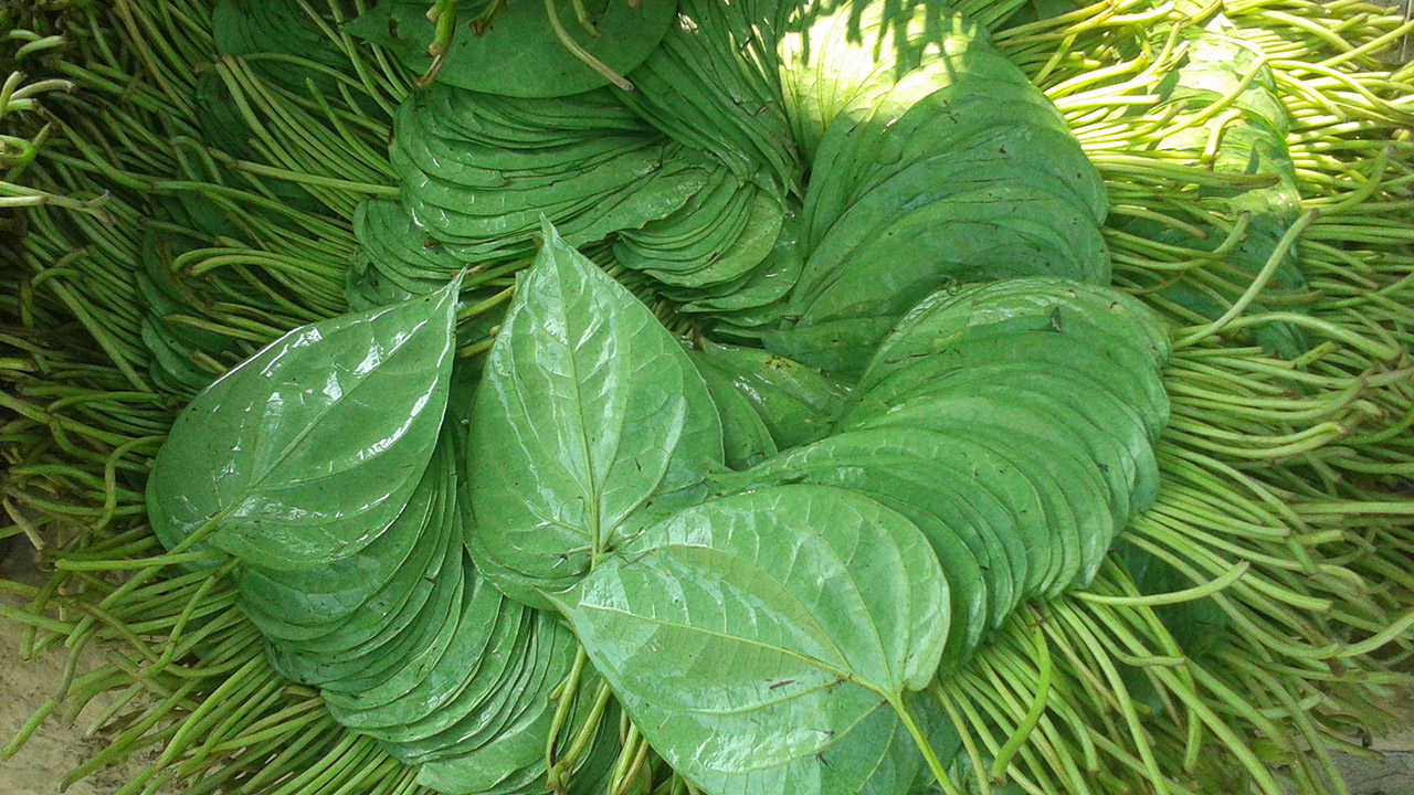 পান খাওয়া এখন আরো ব্যয়বহুল