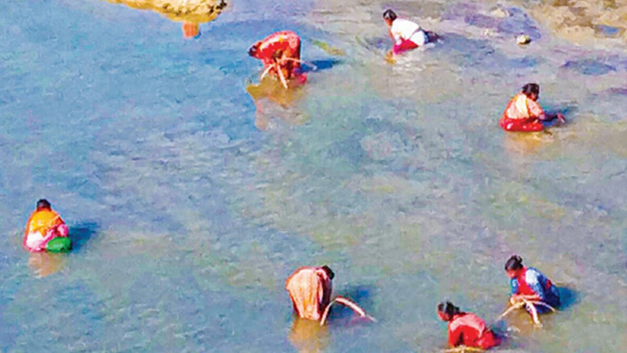 করতোয়া নদীতে নুড়িপাথর কুড়িয়ে জীবন-জীবিকা হাজারো নারীর