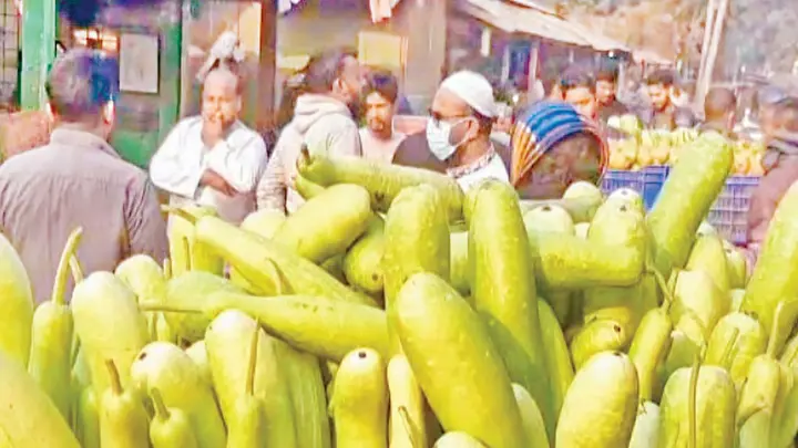 বিপর্যয়ের মুখে পঞ্চগড়ে শীতকালীন সবজি চাষ
