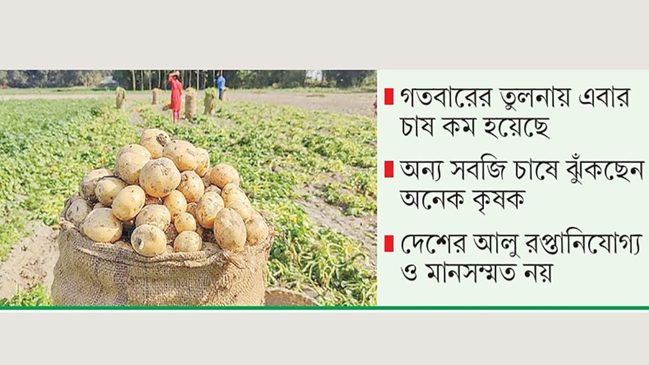 আলুর ন্যায্যমূল্য না পেয়ে ক্ষতিগ্রস্ত কৃষক, প্রণোদনা দেবে সরকার